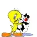 Avatar de l’utilisateur